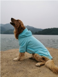 Basic Pet Hoodie