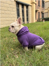 Purple Dog Apparel