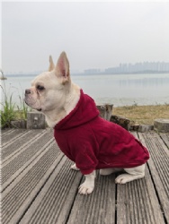 Dog Jacket