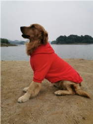 Fleece Lined Dog Hoodie