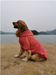 Fleece Inside Petwear