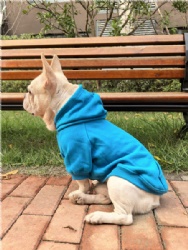 Basic Dog & Cat Hoodie