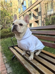 White Fleece Dog Hoodie