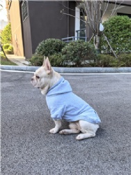Bulldog Hoodie