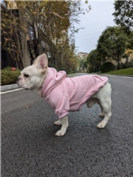 Dog Hoodies for Bulldogs