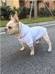 Frenchbulldog Hoodie