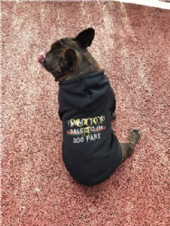 I Want to Go Back to The Dog Park Dog Hoodie