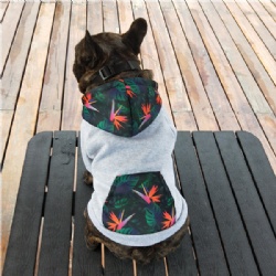Personalized Dog Hoodie