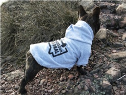Logo Printed Dog Hoodie