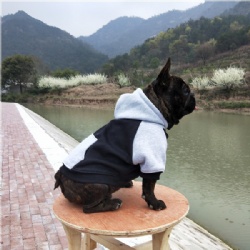 Hoodies for French Bulldogs