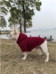 Burgundy Dog Pullover