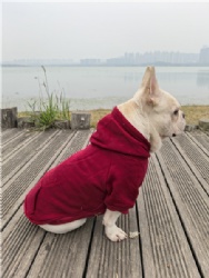 Dark Red Dog Coat