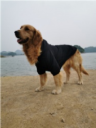 Black Hoodie for Large Dog