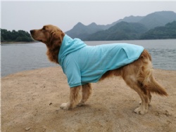 Turquoise Dog Hoodie