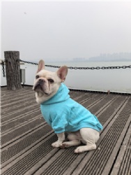 Baby Blue Dog Jumper