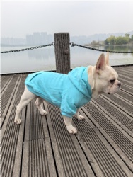 Turquoise Pet Clothes