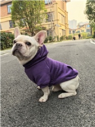 Purple Dog Hoodie