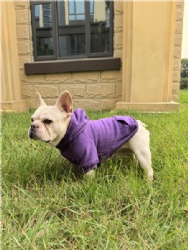 Purple Dog Sweatshirt