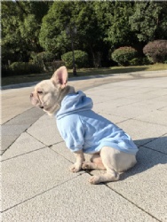 Light Blue Dog Coat