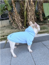 Wathet Blue Dog Hoodie