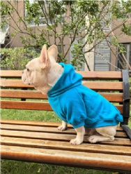 Deep Sky Blue Dog Hoodie