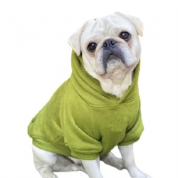 Olivia Green Dog Jumper