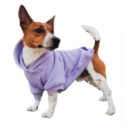 lilac dog sweater jumper
