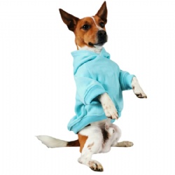 Teal Pet Clothes Hoodie