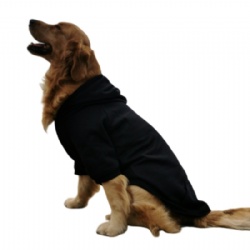 Black Dog Jumper