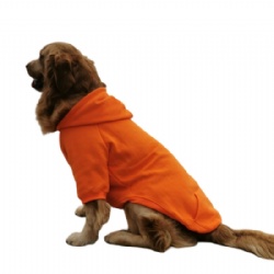 Cozy Dog Hoodie