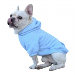 Light Blue Dog Coat