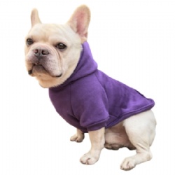 Purple Dog Apparel