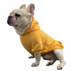 Yellow Dog Coat